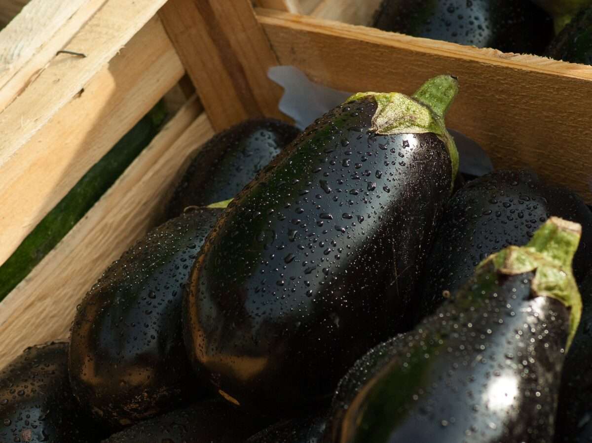 Pagina 2 di Le proprietà della melanzana: cellulite, fegato, pressione&#8230; | Alimentazione